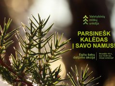 Miškininkai dalinsis kalėdine dvasia – gruodžio 18 d. visoje Lietuvoje vyks tradicinė akcija „Parsinešk Kalėdas į savo namus“