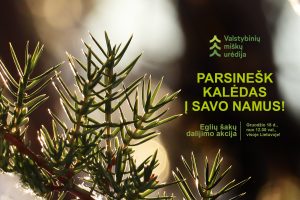 Tradicinė akcija „Parsinešk Kalėdas į savo namus“ @ Ukmergės kultūros centras