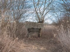 Aplinkosaugininkai tikrins viliojimo vietas medžioklės plotuose