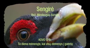 Bibliotekoje startuoja kiną ir aplinkosaugą jungiantis projektas. Pirmasis – kino filmo „Sengirė” seansas