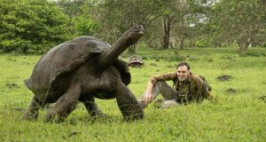 LRT TELEVIZIJOJE – nauja laida, kuri kvies į keliones po laukinę gamtą