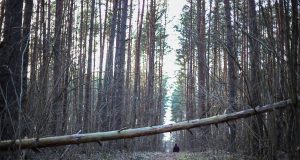 Policija miške sulaikė vyrą su 5 kilogramais narkotikų