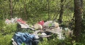 Miškai it sąvartynai: aplinkosaugos dienos proga miškininkai skelbia šokiruojančius skaičius