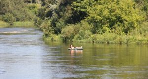 UKMERGĖS RAJONO SAVIVALDYBĖS REKREACINIŲ ZONŲ VANDENS KOKYBĖS TYRIMŲ REZULTATAI LIEPOS MĖNESIUI