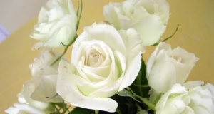 Padėka Ukmergės Kardiologijos skyriaus darbuotojams už profesionalumą ir rūpestingumą