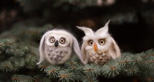 Pirmoji ponia kviečia prisijungti prie kalėdinės akcijos „Sparnuoti išminties, žinių ir kūrybos metai“