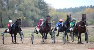 Ukmergės raj. savivaldybės mero taurė iškeliavo į Širvintas