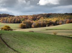 Keičiasi draudimo tręšti mėšlu ir ar srutomis laikotarpis