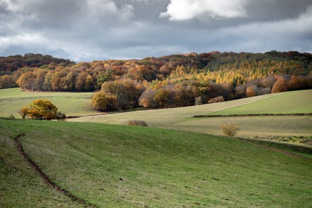 WiECSWPI2-Y.jpg__2280x1520_q85_ALIAS-newshudge_crop-smart_subsampling-2_upscale