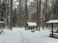 Kvietimas teikti pasiūlymus dėl treniruoklių įrengimo „Šilo“ sveikatingumo trasoje