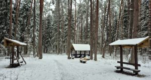 Kvietimas teikti pasiūlymus dėl treniruoklių įrengimo „Šilo“ sveikatingumo trasoje