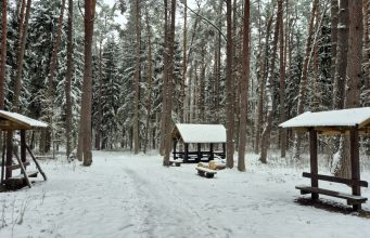 Kvietimas teikti pasiūlymus dėl treniruoklių įrengimo „Šilo“ sveikatingumo trasoje