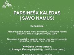 Kalėdų tradicija tęsiasi: miškininkai nemokamai dalins eglių ir pušų šakas