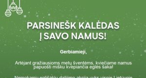 Kalėdų tradicija tęsiasi: miškininkai nemokamai dalins eglių ir pušų šakas