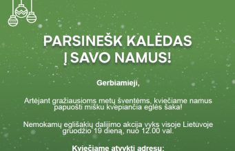Kalėdų tradicija tęsiasi: miškininkai nemokamai dalins eglių ir pušų šakas