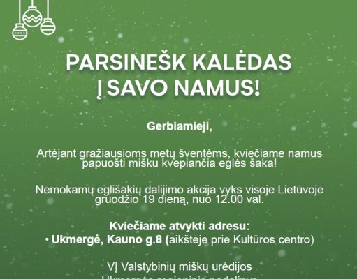 Kalėdų tradicija tęsiasi: miškininkai nemokamai dalins eglių ir pušų šakas
