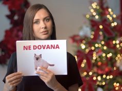 Specialistai ragina nedovanoti gyvūnų: kodėl tai gali turėti liūdnas pasekmes?