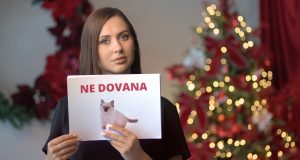 Specialistai ragina nedovanoti gyvūnų: kodėl tai gali turėti liūdnas pasekmes?