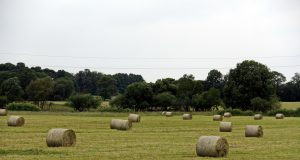 Savivaldybėms bus suteiktos platesnės valstybinės žemės administravimo funkcijos