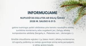 Metas nupuošti eglutes. Kaip rūšiuoti šventines atliekas?