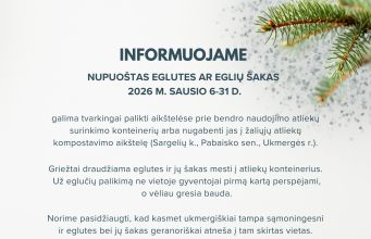 Metas nupuošti eglutes. Kaip rūšiuoti šventines atliekas?