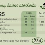 619293854_1181622677519317_5611428888434338651_n