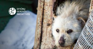 Specialistai įspėja: nuo -15°C lauke laikomus gyvūnus reikia įvesti į vidaus patalpas