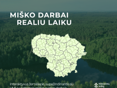 Miško ruošos darbai – viešai ir aiškiai: VMU pristato interaktyvų kirtimų žemėlapį