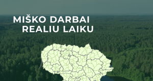 Miško ruošos darbai – viešai ir aiškiai: VMU pristato interaktyvų kirtimų žemėlapį