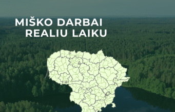 Miško ruošos darbai – viešai ir aiškiai: VMU pristato interaktyvų kirtimų žemėlapį