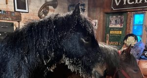 Ukmergės rajone ugniagesiai traukė pelkėje įklimpusį arklį