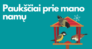 Kviečiame dalyvauti akcijoje „Paukščiai prie mano namų” 2026