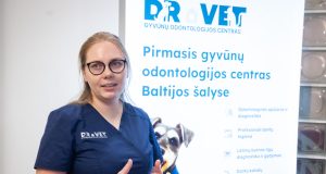 Šunys ir katės Vilniuje jau turi specializuotą odontologijos centrą: čia gydo keturkojų burnos navikus ir net koreguoja sąkandį breketais