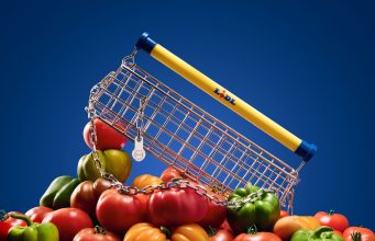 „Lidl“ pristato išskirtinį aksesuarą: prekių vežimėlis tapo rankine