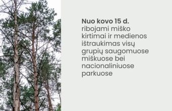 Miško kirtimų ribojimai paukščių perėjimo laikotarpiu