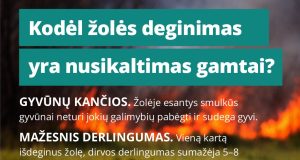 Deginama žolė: mirties nuosprendis viskam, kas gyva