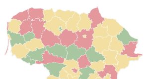 Tik 13 savivaldybių Lietuvoje išnaudoja NVO tarybų potencialą