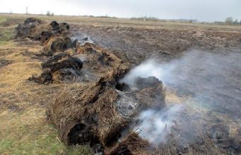 Ką daryti su sodo ir daržo atliekomis, jei jų deginti negalima?