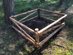 Kaip VMU saugo vienas svarbiausių miško gyventojų – skruzdėles?