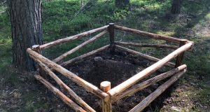 Kaip VMU saugo vienas svarbiausių miško gyventojų – skruzdėles?