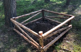 Kaip VMU saugo vienas svarbiausių miško gyventojų – skruzdėles?