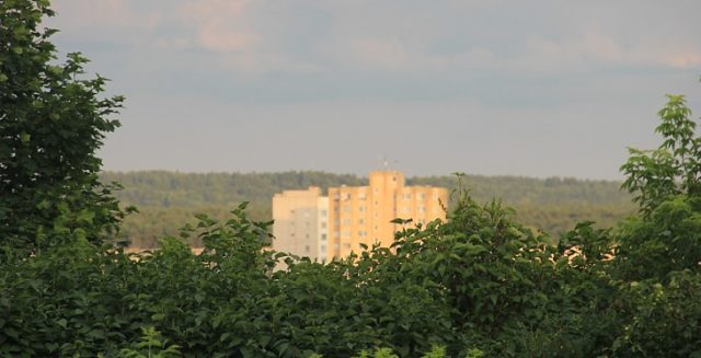 IMG_2418