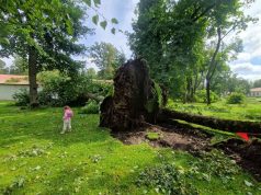Po audros Taujėnų dvaro parkas vėl atviras lankytojams