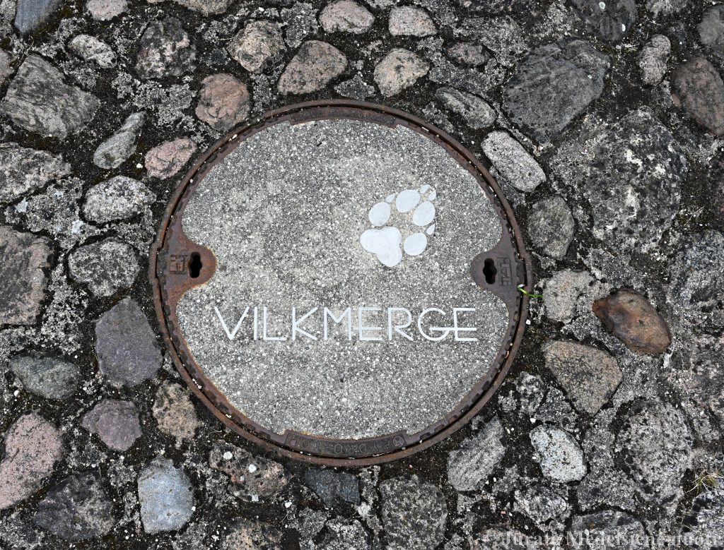 Vilko pėdsakas Ukmergėje