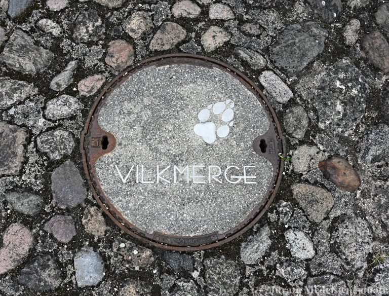 Vilko pėdsakas Ukmergėje