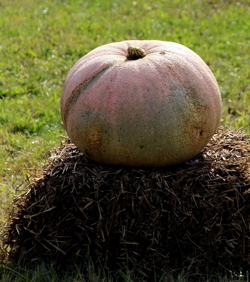 „Rudens soste“