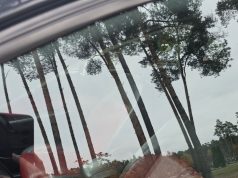 Lankydamiesi artimųjų kapuose, nepamirškime pasirūpinti ir savo turto saugumu